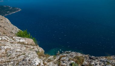 Akdeniz manzarası. Kırım Yarımadası 'nın güney kıyısındaki Karadeniz kıyısındaki orman kayaları güneşli bir günde.