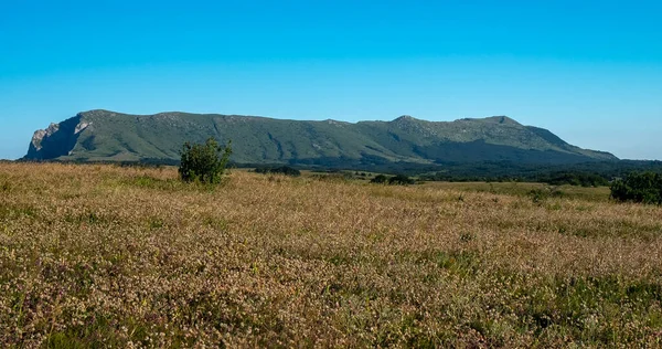 Vista Meseta Superior Chatyr Dag Crimea Día Soleado Brillante —  Fotos de Stock