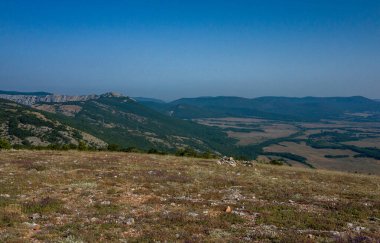 Akdeniz manzarası. Kırım Yarımadası 'nın güney kıyısındaki Karadeniz kıyısındaki orman kayaları güneşli bir günde.