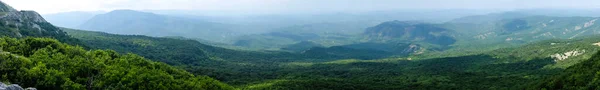 Вид Горы Покрытые Густым Лесом Верхнего Плато Горного Хребта Чатыр — стоковое фото