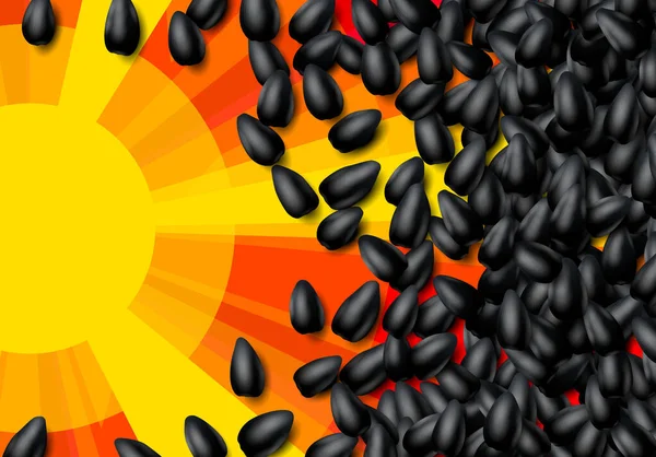 Fond Graines Tournesol Avec Tas Grains Noirs Éparpillés — Image vectorielle