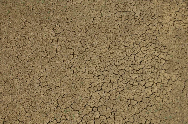 Textura da terra seca — Fotografia de Stock