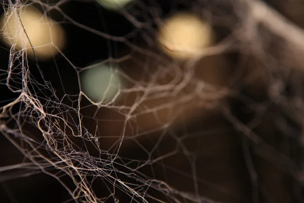 Scary Spider web Υφή — Φωτογραφία Αρχείου