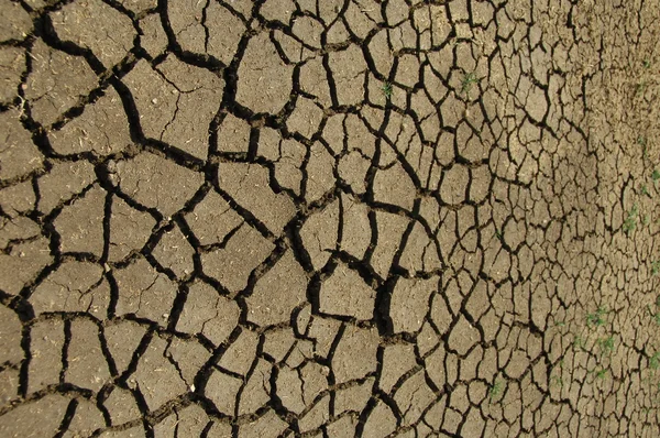 Textura de tierra seca — Foto de Stock