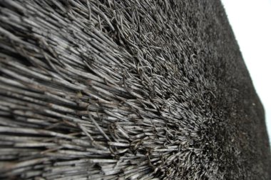 Ağaç doku makro çekim