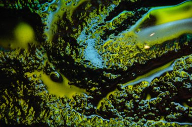 Arka cam doku portre