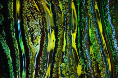 Arka cam doku portre