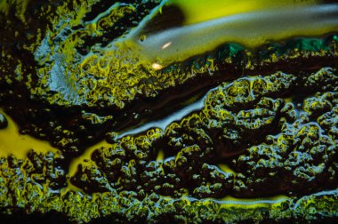 Arka cam doku portre