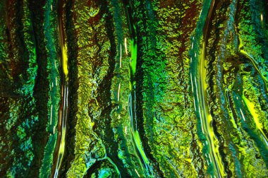 Arka cam doku portre