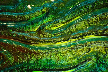 Arka cam doku portre