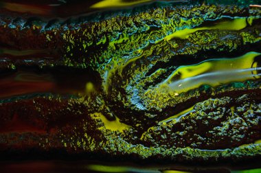 Arka cam doku portre