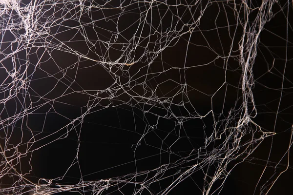Texture effrayante de toile d'araignée — Photo