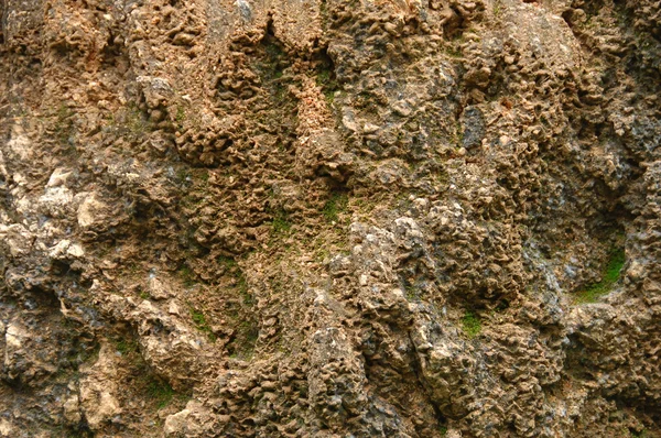 Mur abstrait Texture gros plan — Photo