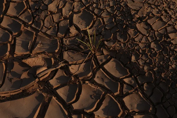 Textura de tierra seca — Foto de Stock