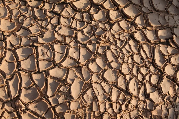 Dry Land Texture — Stock Photo, Image
