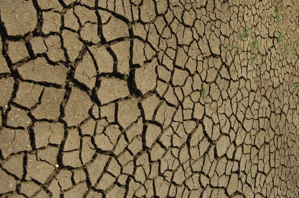 Textura da terra seca — Fotografia de Stock