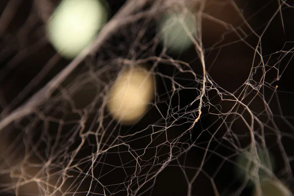 Scary Spider web Υφή — Φωτογραφία Αρχείου