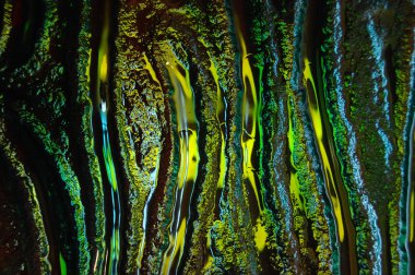 Arka cam doku portre