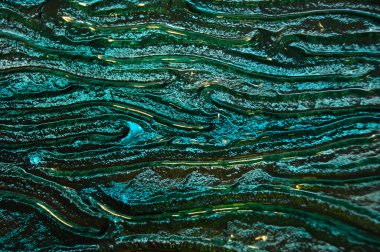 Arka cam doku portre