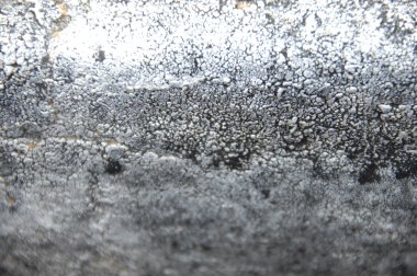 Arka plan makro çekim