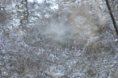 Arka plan makro çekim