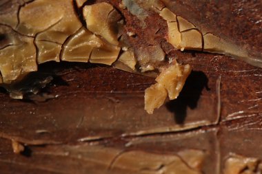 soyut doku arka plan