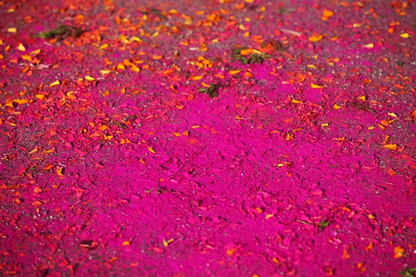 Textura de color abstracta —  Fotos de Stock