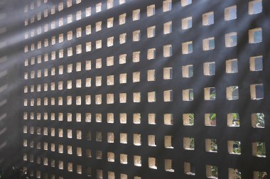 Arka plan makro çekim