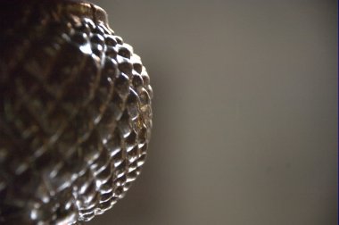 Ağaç doku makro çekim