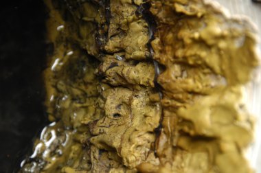 Soyut Eski Ahşap Doku