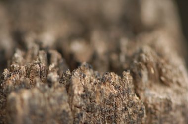 Eski bina duvar doku