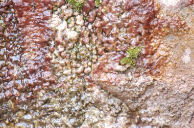 Eski bina duvar doku