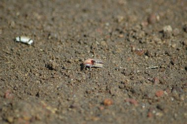 Eski bina duvar doku