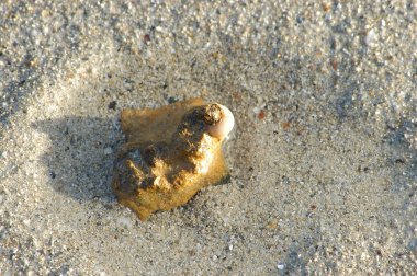 Eski bina duvar doku