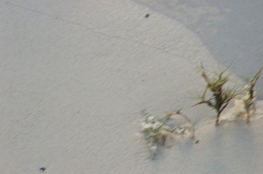 Eski bina duvar doku