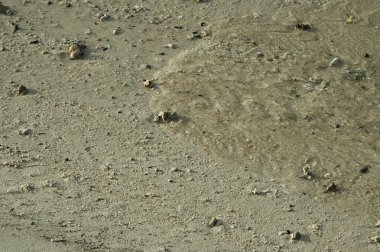 Eski bina duvar doku