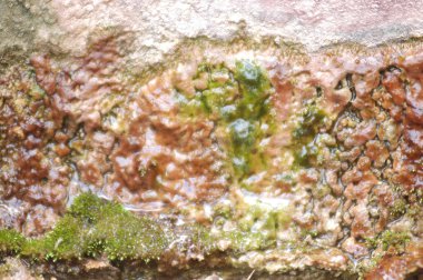 Eski bina duvar doku