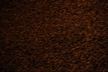 Eski bina duvar doku