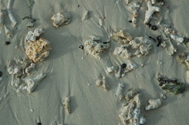 Eski bina duvar doku