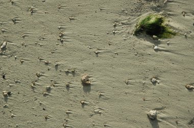 Eski bina duvar doku