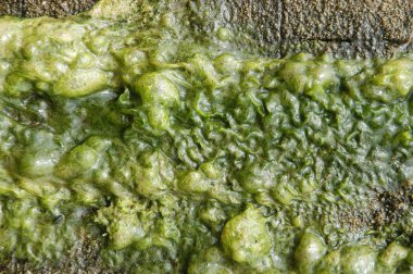 Eski bina duvar doku