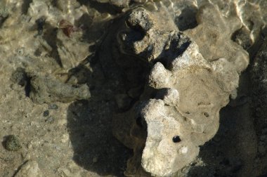 Eski bina duvar doku