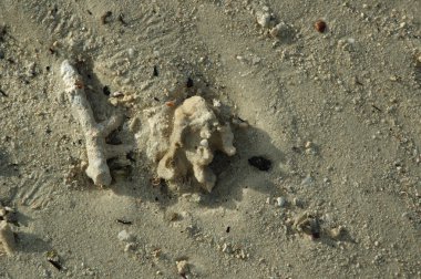 Eski bina duvar doku