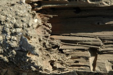 Eski bina duvar doku