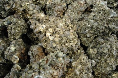 soyut doku arka plan