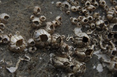 soyut doku arka plan