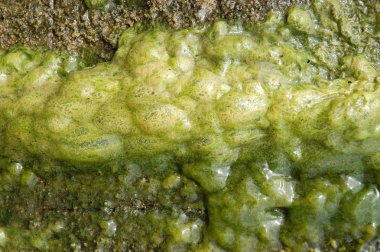 soyut doku arka plan