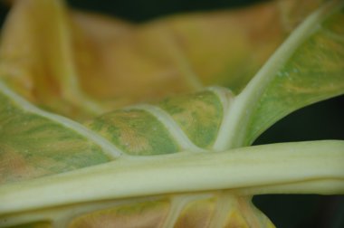 soyut doku arka plan