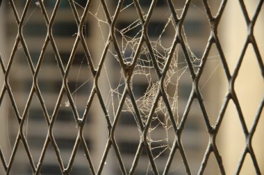 soyut doku arka plan