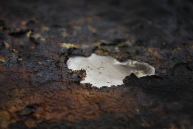 Eski Metal Doku Makro Çekimi